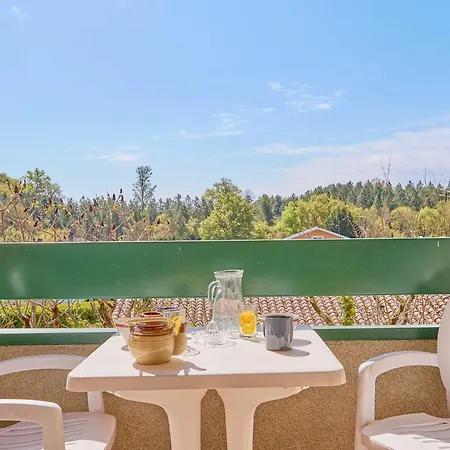 Appartement T1 Bis Avec Balcon, Animaux Admis, Parking, Wifi Gratuit, - Fr-1-841-71 Barbotan-les-Thermes