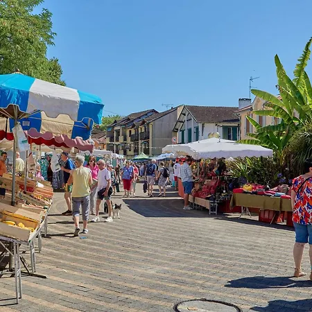 T1 Bis Avec Balcon, Animaux Admis, Parking, Wifi Gratuit, - Fr-1-841-71 Barbotan-les-Thermes