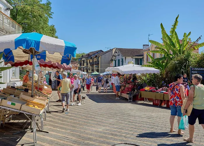 T1 Bis Avec Balcon Et Animaux Admis A - Fr-1-841-71 Barbotan-les-Thermes